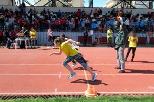 &Delta;&Epsilon;&Lambda;&Tau;&Iota;&Omicron; &Tau;&Upsilon;&Pi;&Omicron;&Upsilon; - 1&eta; &Eta;&mu;&epsilon;&rho;ί&delta;&alpha; &sigma;&tau;ί&beta;&omicron;&upsilon; &pi;&omicron;&upsilon; &delta;&iota;&omicron;&rho;&gamma;ά&nu;&omega;&sigma;&epsilon; &omicron; "&Alpha;&Sigma; &Alpha;&Rho;&Tau;&Alpha;&Sigma; &Tau;&Iota;&Tau;&Alpha;&Nu;&Epsilon;&Sigma;"
