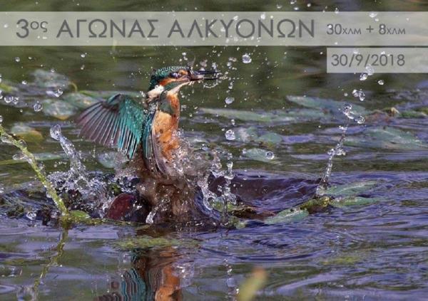 3&omicron;&sigmaf; &Alpha;&gamma;ώ&nu;&alpha;&sigmaf; &Delta;&rho;ό&mu;&omicron;&upsilon; &Alpha;&Lambda;&Kappa;&Upsilon;&Omicron;&Nu;&Omega;&Nu;. &Psi;&Alpha;&Theta;&Alpha;-&Sigma;&Chi;&Iota;&Nu;&Omicron;&Sigma;-&Psi;&Alpha;&Theta;&Alpha; - &Alpha;&pi;&omicron;&tau;&epsilon;&lambda;έ&sigma;&mu;&alpha;&tau;&alpha;