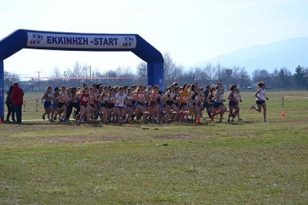 &Omicron;&iota; &kappa;&omicron;&rho;&upsilon;&phi;&alpha;ί&omicron;&iota; &tau;&omega;&nu; &mu;&epsilon;&gamma;ά&lambda;&omega;&nu; &alpha;&pi;&omicron;&sigma;&tau;ά&sigma;&epsilon;&omega;&nu; &delta;ί&nu;&omicron;&upsilon;&nu; &rho;&alpha;&nu;&tau;&epsilon;&beta;&omicron;ύ &sigma;&tau;&alpha; &Tau;&rho;ί&kappa;&alpha;&lambda;&alpha;