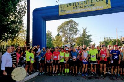 &Delta;&Epsilon;&Lambda;&Tau;&Iota;&Omicron; &Tau;&Upsilon;&Pi;&Omicron;&Upsilon; - &Omicron;&rho;&gamma;&alpha;&nu;&omega;&tau;&iota;&kappa;ή &kappa;&alpha;&iota; &alpha;&gamma;&omega;&nu;&iota;&sigma;&tau;&iota;&kappa;ή &epsilon;&pi;&iota;&tau;&upsilon;&chi;ί&alpha; &sigma;&tau;&omicron;&nu; &Epsilon;&pi;&epsilon;&tau;&epsilon;&iota;&alpha;&kappa;ό &Upsilon;&psi;&eta;&lambda;ά&nu;&tau;&epsilon;&iota;&omicron; &Alpha;&gamma;ώ&nu;&alpha; &Delta;&rho;ό&mu;&omicron;&upsilon;