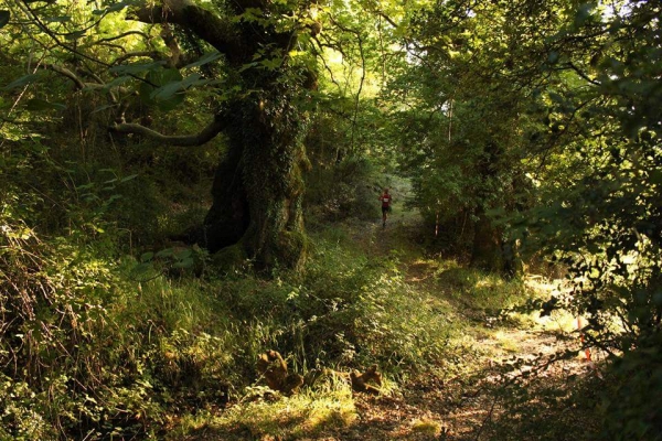 2nd Polistafilo MTB &amp; MTRU&Nu; 2016