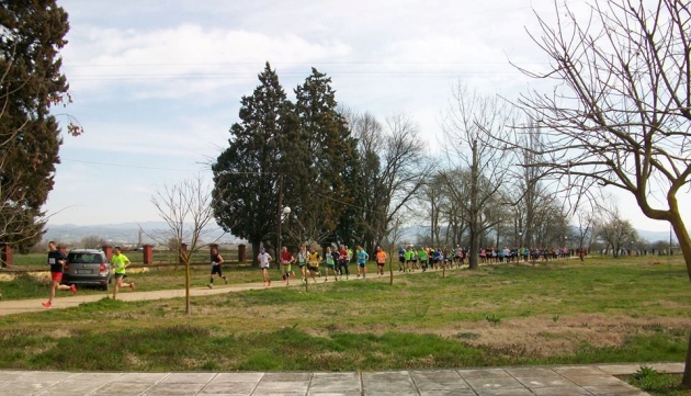 &Delta;&Epsilon;&Lambda;&Tau;&Iota;&Omicron; &Tau;&Upsilon;&Pi;&Omicron;&Upsilon; - &Pi;&rho;&omicron;&kappa;ή&rho;&upsilon;&xi;&eta; &Phi;&Alpha;&Sigma;&Omicron;&Upsilon;&Lambda;&Alpha;&Delta;&Epsilon;&Iota;&Alpha; 2017