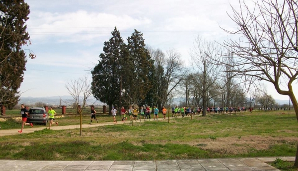 &Delta;&Epsilon;&Lambda;&Tau;&Iota;&Omicron; &Tau;&Upsilon;&Pi;&Omicron;&Upsilon; - &Pi;&rho;&omicron;&kappa;ή&rho;&upsilon;&xi;&eta; &Phi;&Alpha;&Sigma;&Omicron;&Upsilon;&Lambda;&Alpha;&Delta;&Epsilon;&Iota;&Alpha; 2017