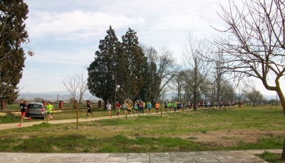 &Delta;&Epsilon;&Lambda;&Tau;&Iota;&Omicron; &Tau;&Upsilon;&Pi;&Omicron;&Upsilon; - &Pi;&rho;&omicron;&kappa;ή&rho;&upsilon;&xi;&eta; &Phi;&Alpha;&Sigma;&Omicron;&Upsilon;&Lambda;&Alpha;&Delta;&Epsilon;&Iota;&Alpha; 2017