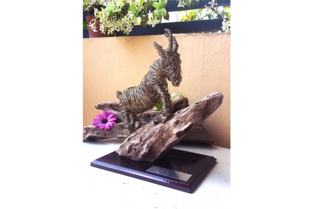 &Delta;&Epsilon;&Lambda;&Tau;&Iota;&Omicron; &Tau;&Upsilon;&Pi;&Omicron;&Upsilon; - Έ&pi;&alpha;&theta;&lambda;&omicron; &alpha;&gamma;ώ&nu;&alpha; &kappa;&alpha;&iota; &kappa;&alpha;&tau;&eta;&gamma;&omicron;&rho;ί&epsilon;&sigmaf; &nu;&iota;&kappa;&eta;&tau;ώ&nu; &gamma;&iota;&alpha; Tinos Challenge 2016