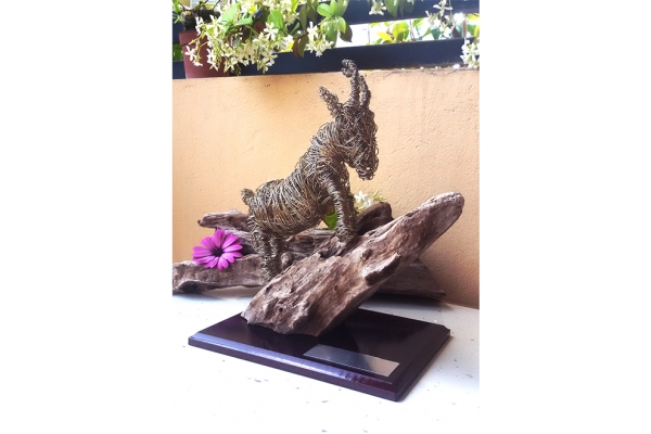 &Delta;&Epsilon;&Lambda;&Tau;&Iota;&Omicron; &Tau;&Upsilon;&Pi;&Omicron;&Upsilon; - Έ&pi;&alpha;&theta;&lambda;&omicron; &alpha;&gamma;ώ&nu;&alpha; &kappa;&alpha;&iota; &kappa;&alpha;&tau;&eta;&gamma;&omicron;&rho;ί&epsilon;&sigmaf; &nu;&iota;&kappa;&eta;&tau;ώ&nu; &gamma;&iota;&alpha; Tinos Challenge 2016