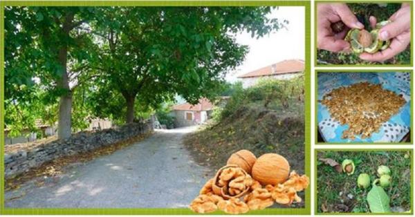 &Delta;&Epsilon;&Lambda;&Tau;&Iota;&Omicron; &Tau;&Upsilon;&Pi;&Omicron;&Upsilon; - &Pi;&rho;&omicron;&kappa;ή&rho;&upsilon;&xi;&eta; &Delta;&rho;ό&mu;&omicron;&sigmaf; &Kappa;&alpha;&rho;&upsilon;&delta;&iota;&omicron;ύ 2018