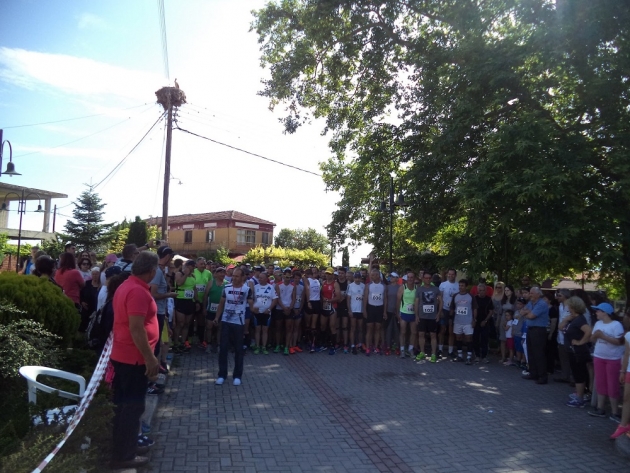 6&omicron;&sigmaf; &alpha;&gamma;ώ&nu;&alpha;&sigmaf; &delta;&rho;ό&mu;&omicron;&upsilon; &laquo;&Pi;&Rho;&Omicron;&Phi;&Eta;&Tau;&Eta; &Eta;&Lambda;&Iota;&Alpha;&raquo;