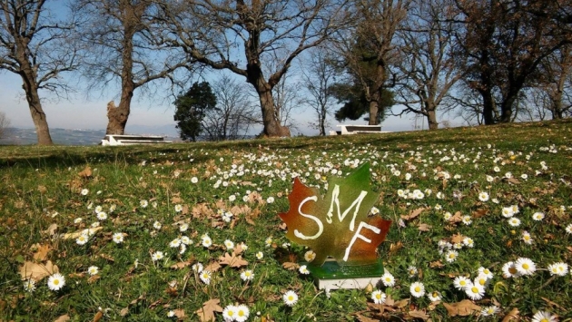 &Delta;&Epsilon;&Lambda;&Tau;&Iota;&Omicron; &Tau;&Upsilon;&Pi;&Omicron;&Upsilon; -  &Omicron;&lambda;&omicron;&kappa;&lambda;&eta;&rho;ώ&theta;&eta;&kappa;&epsilon; &omicron; &kappa;&alpha;&theta;&alpha;&rho;&iota;&sigma;&mu;ό&sigmaf; &tau;&omega;&nu; &mu;&omicron;&nu;&omicron;&pi;&alpha;&tau;&iota;ώ&nu; Sfendami Mountain Festival 2016