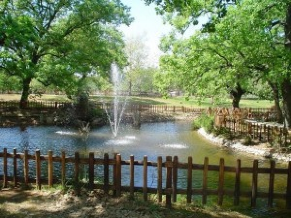 &Delta;&Epsilon;&Lambda;&Tau;&Iota;&Omicron; &Tau;&Upsilon;&Pi;&Omicron;&Upsilon; - Ό&lambda;&alpha; &epsilon;ί&nu;&alpha;&iota; έ&tau;&omicron;&iota;&mu;&alpha; &gamma;&iota;&alpha; &tau;&omicron;&nu; &Lambda;&alpha;ϊ&kappa;ό &alpha;&gamma;ώ&nu;&alpha; &delta;&rho;ό&mu;&omicron;&upsilon; &pi;&omicron;&upsilon; &theta;&alpha; &gamma;ί&nu;&epsilon;&iota; &sigma;&tau;&omicron; &Delta;ά&sigma;&omicron;&sigmaf; &Kappa;&omicron;&upsilon;&rho;ί &tau;&eta; &Kappa;&upsilon;&rho;&iota;&alpha;&kappa;ή 26 &Alpha;&pi;&rho;&iota;&lambda;ί&omicron;&upsilon;