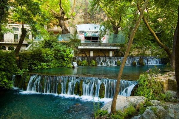 &Omicron; 5&omicron;&sigmaf; &Tau;&rho;&omicron;&phi;ώ&nu;&iota;&omicron;&sigmaf; &Eta;&mu;&iota;&mu;&alpha;&rho;&alpha;&theta;ώ&nu;&iota;&omicron;&sigmaf; &tau;&eta;&nu; &Kappa;&upsilon;&rho;&iota;&alpha;&kappa;ή &sigma;&tau;&eta; &Lambda;&iota;&beta;&alpha;&delta;&epsilon;&iota;ά