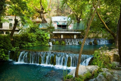 &Omicron; 5&omicron;&sigmaf; &Tau;&rho;&omicron;&phi;ώ&nu;&iota;&omicron;&sigmaf; &Eta;&mu;&iota;&mu;&alpha;&rho;&alpha;&theta;ώ&nu;&iota;&omicron;&sigmaf; &tau;&eta;&nu; &Kappa;&upsilon;&rho;&iota;&alpha;&kappa;ή &sigma;&tau;&eta; &Lambda;&iota;&beta;&alpha;&delta;&epsilon;&iota;ά