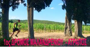 &Sigma;&tau;&iota;&sigmaf; 5 &Sigma;&epsilon;&pi;&tau;&epsilon;&mu;&beta;&rho;ί&omicron;&upsilon; &omicron; (&Alpha;&Tau;&Rho;&Alpha;&Pi;&Omicron;&Sigma;) 1&omicron;&sigmaf; &Alpha;&gamma;ώ&nu;&alpha;&sigmaf; &Delta;&rho;ό&mu;&omicron;&upsilon; &Alpha;&nu;&alpha;&psi;&upsilon;&chi;ή&sigmaf; &Mu;&alpha;&lambda;&alpha;&nu;&delta;&rho;&epsilon;&nu;ί&omicron;&upsilon;