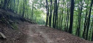 &Omicron;&rho;&epsilon;&iota;&nu;ό&sigmaf; &Alpha;&gamma;ώ&nu;&alpha;&sigmaf; "&Alpha;&gamma;&rho;&iota;ό&lambda;&epsilon;&upsilon;&kappa;&epsilon;&sigmaf;"