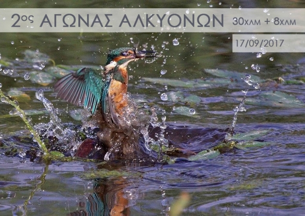 &Delta;&Epsilon;&Lambda;&Tau;&Iota;&Omicron; &Tau;&Upsilon;&Pi;&Omicron;&Upsilon; - &Pi;&rho;&omicron;&kappa;ή&rho;&upsilon;&xi;&eta; 2&omicron;&sigmaf; &alpha;&gamma;ώ&nu;&alpha;&sigmaf; &delta;&rho;ό&mu;&omicron;&upsilon; 30 &chi;&iota;&lambda;&iota;&omicron;&mu;έ&tau;&rho;&omega;&nu; &ldquo;&Omicron; &Delta;&Rho;&Omicron;&Mu;&Omicron;&Sigma; &Tau;&Omega;&Nu; &Alpha;&Lambda;&Kappa;&Upsilon;&Omicron;&Nu;&Omega;&Nu;&rdquo; &sigma;&tau;&eta;&nu; &pi;&alpha;&rho;&alpha;&lambda;ί&alpha; &Psi;&Alpha;&Theta;&Alpha;&Sigma; - &Pi;&Alpha;&Gamma;&Omega;&Nu; (&Alpha;&Lambda;&Epsilon;&Pi;&Omicron;&Chi;&Omega;&Rho;&Iota;&Omicron;&Upsilon;) - &Sigma;&Chi;&Iota;&Nu;&Omicron;&Upsilon;