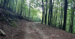 &Sigma;&tau;&iota;&sigmaf; 4 &Sigma;&epsilon;&pi;&tau;&epsilon;&mu;&beta;&rho;ί&omicron;&upsilon; &omicron; &Omicron;&rho;&epsilon;&iota;&nu;ό&sigmaf; &Alpha;&gamma;ώ&nu;&alpha;&sigmaf; "&Alpha;&gamma;&rho;&iota;ό&lambda;&epsilon;&upsilon;&kappa;&epsilon;&sigmaf;"