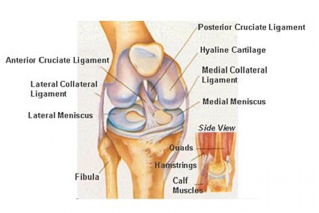 &Rho;ή&xi;&eta; &pi;&rho;ό&sigma;&theta;&iota;&omicron;&upsilon; &chi;&iota;&alpha;&sigma;&tau;&omicron;ύ &sigma;&upsilon;&nu;&delta;έ&sigma;&mu;&omicron;&upsilon; - &Alpha;&rho;&theta;&rho;&omicron;&sigma;&kappa;&omicron;&pi;&iota;&kappa;ή &alpha;&pi;&omicron;&kappa;&alpha;&tau;ά&sigma;&tau;&alpha;&sigma;&eta;