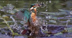 &Eta; &pi;&rho;&omicron;&kappa;ή&rho;&upsilon;&xi;&eta; &tau;&eta;&sigmaf; &delta;&iota;&omicron;&rho;&gamma;ά&nu;&omega;&sigma;&eta;&sigmaf; "&Omicron; &Delta;&rho;ό&mu;&omicron;&sigmaf; &tau;&omega;&nu; &Alpha;&lambda;&kappa;&upsilon;ώ&nu;&omega;&nu;"