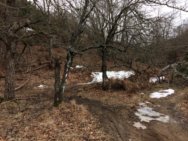 &Delta;&Epsilon;&Lambda;&Tau;&Iota;&Omicron; &Tau;&Upsilon;&Pi;&Omicron;&Upsilon; - &Mu;&epsilon; &rho;&epsilon;&kappa;ό&rho; &alpha;&iota;&tau;ή&sigma;&epsilon;&omega;&nu; έ&kappa;&lambda;&epsilon;&iota;&sigma;&alpha;&nu; &omicron;&iota; &epsilon;&gamma;&gamma;&rho;&alpha;&phi;έ&sigmaf; &gamma;&iota;&alpha; &tau;&omicron;&nu; &alpha;&gamma;ώ&nu;&alpha; &Chi;&omicron;&rho;&tau;&iota;ά&tau;&eta;&sigmaf; Trail Run 2017!