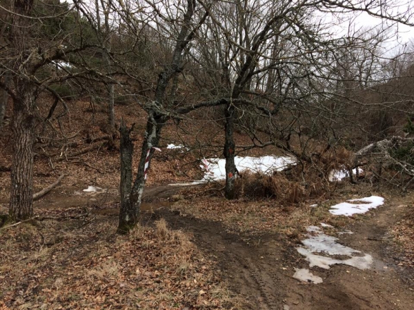&Delta;&Epsilon;&Lambda;&Tau;&Iota;&Omicron; &Tau;&Upsilon;&Pi;&Omicron;&Upsilon; - &Mu;&epsilon; &rho;&epsilon;&kappa;ό&rho; &alpha;&iota;&tau;ή&sigma;&epsilon;&omega;&nu; έ&kappa;&lambda;&epsilon;&iota;&sigma;&alpha;&nu; &omicron;&iota; &epsilon;&gamma;&gamma;&rho;&alpha;&phi;έ&sigmaf; &gamma;&iota;&alpha; &tau;&omicron;&nu; &alpha;&gamma;ώ&nu;&alpha; &Chi;&omicron;&rho;&tau;&iota;ά&tau;&eta;&sigmaf; Trail Run 2017!