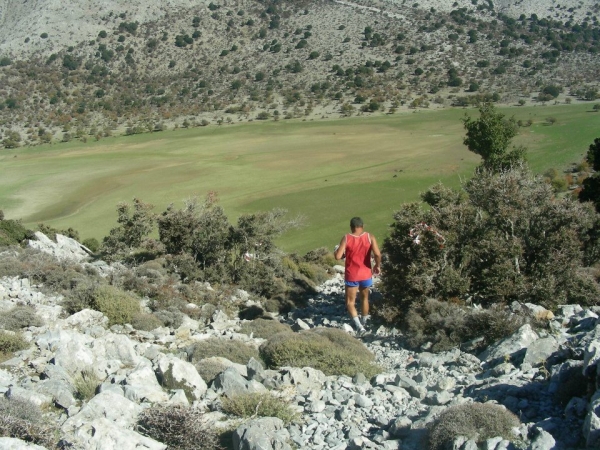 &Delta;&Epsilon;&Lambda;&Tau;&Iota;&Omicron; &Tau;&Upsilon;&Pi;&Omicron;&Upsilon; - &Pi;&rho;&omicron;&kappa;ή&rho;&upsilon;&xi;&eta; 4&omicron;&sigmaf; &Omicron;&rho;&epsilon;&iota;&nu;ό&sigmaf; &Eta;&mu;&iota;&mu;&alpha;&rho;&alpha;&theta;ώ&nu;&iota;&omicron;&sigmaf; &Nu;ό&tau;&iota;&alpha;&sigmaf; &Delta;ί&kappa;&tau;&eta;&sigmaf;