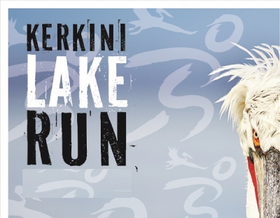 &Delta;&Epsilon;&Lambda;&Tau;&Iota;&Omicron; &Tau;&Upsilon;&Pi;&Omicron;&Upsilon; - &Pi;&rho;&omicron;&kappa;ή&rho;&upsilon;&xi;&eta; Kerkini Lake Runs 2017