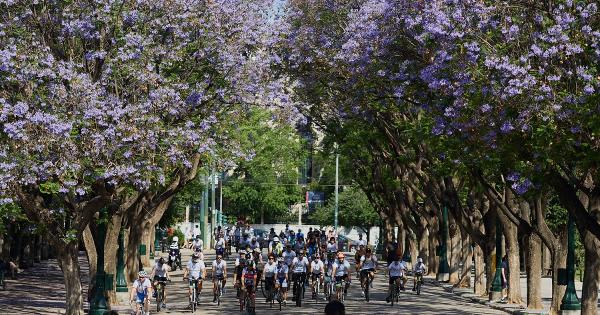 &Tau;&rho;έ&chi;&omicron;&upsilon;&mu;&epsilon; &ndash; &Kappa;ά&nu;&omicron;&upsilon;&mu;&epsilon; &pi;&omicron;&delta;ή&lambda;&alpha;&tau;&omicron; &kappa;&alpha;&iota; &Epsilon;&nu;&eta;&mu;&epsilon;&rho;&omega;&nu;ό&mu;&alpha;&sigma;&tau;&epsilon; &sigma;&tau;&iota;&sigmaf; 11 &Iota;&omicron;&upsilon;&nu;ί&omicron;&upsilon; &sigma;&tau;&omicron; &Zeta;ά&pi;&pi;&epsilon;&iota;&omicron;