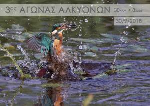 &Delta;&Epsilon;&Lambda;&Tau;&Iota;&Omicron; &Tau;&Upsilon;&Pi;&Omicron;&Upsilon; - &Pi;&rho;&omicron;&kappa;ή&rho;&upsilon;&xi;&eta; 3&omicron;&sigmaf; &Alpha;&gamma;ώ&nu;&alpha;&sigmaf; &Delta;&rho;ό&mu;&omicron;&upsilon; &Alpha;&Lambda;&Kappa;&Upsilon;&Omicron;&Nu;&Omega;&Nu;. &Psi;&Alpha;&Theta;&Alpha;-&Sigma;&Chi;&Iota;&Nu;&Omicron;&Sigma;-&Psi;&Alpha;&Theta;&Alpha;