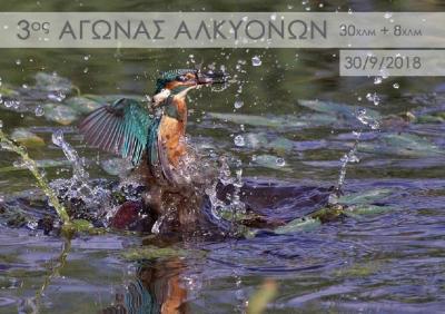 &Delta;&Epsilon;&Lambda;&Tau;&Iota;&Omicron; &Tau;&Upsilon;&Pi;&Omicron;&Upsilon; - &Pi;&rho;&omicron;&kappa;ή&rho;&upsilon;&xi;&eta; 3&omicron;&sigmaf; &Alpha;&gamma;ώ&nu;&alpha;&sigmaf; &Delta;&rho;ό&mu;&omicron;&upsilon; &Alpha;&Lambda;&Kappa;&Upsilon;&Omicron;&Nu;&Omega;&Nu;. &Psi;&Alpha;&Theta;&Alpha;-&Sigma;&Chi;&Iota;&Nu;&Omicron;&Sigma;-&Psi;&Alpha;&Theta;&Alpha;