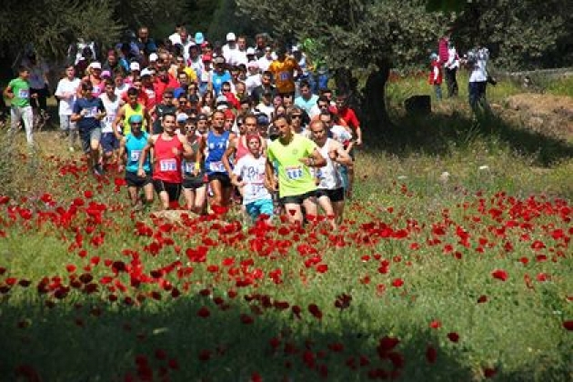 &Delta;&Epsilon;&Lambda;&Tau;&Iota;&Omicron; &Tau;&Upsilon;&Pi;&Omicron;&Upsilon; - &Pi;&rho;&omicron;&kappa;ή&rho;&upsilon;&xi;&eta; 3&omicron;&iota; &Pi;&alpha;&nu;&tau;&rho;&omicron;&iota;&zeta;&eta;&nu;&iota;&alpha;&kappa;&omicron;ί &alpha;&gamma;ώ&nu;&epsilon;&sigmaf; &laquo;&Sigma;&tau;&omicron; &Delta;&rho;ό&mu;&omicron; &tau;&omicron;&upsilon; &Theta;&eta;&sigma;έ&alpha;&raquo;