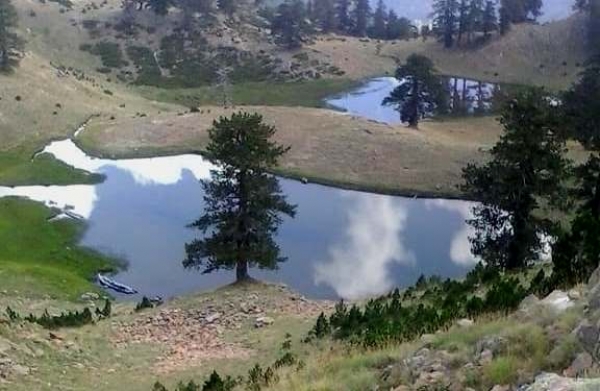 &Delta;&Epsilon;&Lambda;&Tau;&Iota;&Omicron; &Tau;&Upsilon;&Pi;&Omicron;&Upsilon; - &Pi;&rho;&omicron;&kappa;ή&rho;&upsilon;&xi;&eta; Ursa Trail 100