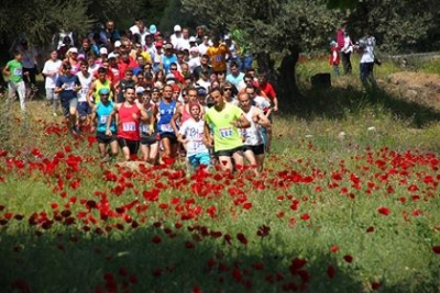 3&omicron;&iota; &Pi;&alpha;&nu;&tau;&rho;&omicron;&iota;&zeta;&eta;&nu;&iota;&alpha;&kappa;&omicron;ί &alpha;&gamma;ώ&nu;&epsilon;&sigmaf; &laquo;&Sigma;&tau;&omicron; &Delta;&rho;ό&mu;&omicron; &tau;&omicron;&upsilon; &Theta;&eta;&sigma;έ&alpha;&raquo;