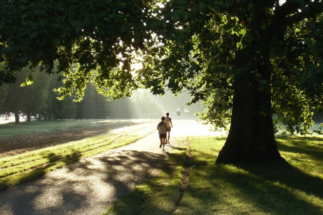 25 &sigma;&upsilon;&mu;&beta;&omicron;&upsilon;&lambda;έ&sigmaf; &pi;&omicron;&upsilon; &theta;&alpha; &kappa;ά&nu;&omicron;&upsilon;&nu; &tau;&omicron; &tau;&rho;έ&xi;&iota;&mu;&omicron; &pi;&omicron;&lambda;ύ &pi;&iota;&omicron; &epsilon;ύ&kappa;&omicron;&lambda;&omicron;!