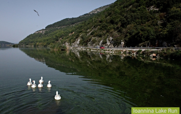 &Delta;&Epsilon;&Lambda;&Tau;&Iota;&Omicron; &Tau;&Upsilon;&Pi;&Omicron;&Upsilon; - &Omicron; &alpha;&theta;&lambda;&eta;&tau;&iota;&sigma;&mu;ό&sigmaf; &sigma;&upsilon;&nu;&alpha;&nu;&tau;ά &tau;&omicron; &pi;&epsilon;&rho;&iota;&beta;ά&lambda;&lambda;&omicron;&nu; &sigma;&tau;&omicron;&nu; 9&omicron; &Gamma;ύ&rho;&omicron; &Lambda;ί&mu;&nu;&eta;&sigmaf; &Iota;&omega;&alpha;&nu;&nu;ί&nu;&omega;&nu;