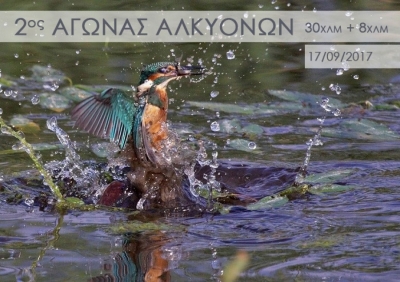 &Delta;&Epsilon;&Lambda;&Tau;&Iota;&Omicron; &Tau;&Upsilon;&Pi;&Omicron;&Upsilon; - &Mu;&epsilon;&tau;&alpha;&gamma;&omega;&nu;&iota;&sigma;&tau;&iota;&kappa;ό &delta;&epsilon;&lambda;&tau;ί&omicron; &tau;ύ&pi;&omicron;&upsilon; 2&omicron;&sigmaf; &alpha;&gamma;ώ&nu;&alpha;&sigmaf; &delta;&rho;ό&mu;&omicron;&upsilon; 30 &chi;&iota;&lambda;&iota;&omicron;&mu;έ&tau;&rho;&omega;&nu; &ldquo;&Omicron; &Delta;&Rho;&Omicron;&Mu;&Omicron;&Sigma; &Tau;&Omega;&Nu; &Alpha;&Lambda;&Kappa;&Upsilon;&Omicron;&Nu;&Omega;&Nu;&rdquo; &sigma;&tau;&eta;&nu; &pi;&alpha;&rho;&alpha;&lambda;ί&alpha; &Psi;&Alpha;&Theta;&Alpha;&Sigma; - &Pi;&Alpha;&Gamma;&Omega;&Nu; (&Alpha;&Lambda;&Epsilon;&Pi;&Omicron;&Chi;&Omega;&Rho;&Iota;&Omicron;&Upsilon;) - &Sigma;&Chi;&Iota;&Nu;&Omicron;&Upsilon;