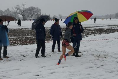 &Delta;&Epsilon;&Lambda;&Tau;&Iota;&Omicron; &Tau;&Upsilon;&Pi;&Omicron;&Upsilon; - &Tau;έ&tau;&alpha;&rho;&tau;&eta; &eta; &Iota;&omega;&alpha;&nu;&nu;ί&delta;&omicron;&upsilon; &sigma;&tau;&omicron;&nu; &pi;&alpha;&nu;&epsilon;&lambda;&lambda;ή&nu;&iota;&omicron; &pi;&rho;&omega;&tau;ά&theta;&lambda;&eta;&mu;&alpha; &alpha;&nu;&omega;&mu;ά&lambda;&omicron;&upsilon; &delta;&rho;ό&mu;&omicron;&upsilon;