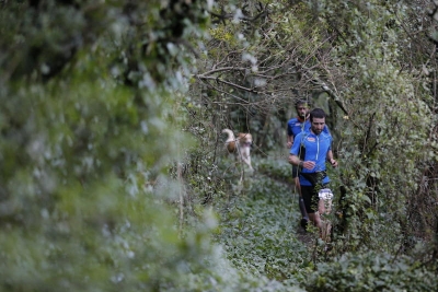 Corfu Mountain Trail 2016