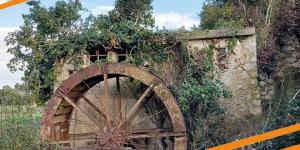 2&omicron;&sigmaf; &Kappa;&alpha;&lambda;&lambda;&iota;&gamma;ώ&nu;&iota;&omicron;&sigmaf; &Eta;&mu;&iota;&mu;&alpha;&rho;&alpha;&theta;ώ&nu;&iota;&omicron;&sigmaf; - &Mu;&epsilon;&tau;&alpha;&gamma;&omega;&nu;&iota;&sigma;&tau;&iota;&kappa;ό &delta;.&Tau;. &amp; &Alpha;&pi;&omicron;&tau;&epsilon;&lambda;έ&sigma;&mu;&alpha;&tau;&alpha;