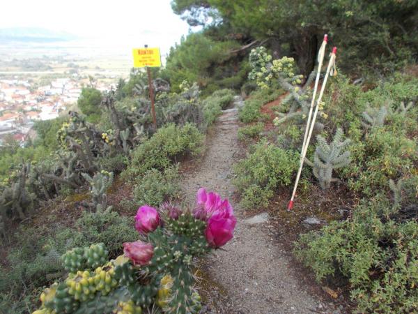 &Delta;&Epsilon;&Lambda;&Tau;&Iota;&Omicron; &Tau;&Upsilon;&Pi;&Omicron;&Upsilon; - &Sigma;&tau;&eta;&nu; &tau;&epsilon;&lambda;&iota;&kappa;ή &epsilon;&upsilon;&theta;&epsilon;ί&alpha; &omicron; 3&omicron;&sigmaf; &Omicron;&rho;&epsilon;&iota;&beta;&alpha;&tau;&iota;&kappa;ό&sigmaf; &Alpha;&gamma;ώ&nu;&alpha;&sigmaf; &Tau;&sigma;&alpha;&rho;&iota;&tau;&sigma;ά&nu;&eta;&sigmaf; &Omicron;&lambda;ύ&mu;&pi;&omicron;&upsilon;