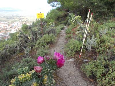 &Delta;&Epsilon;&Lambda;&Tau;&Iota;&Omicron; &Tau;&Upsilon;&Pi;&Omicron;&Upsilon; - &Sigma;&tau;&eta;&nu; &tau;&epsilon;&lambda;&iota;&kappa;ή &epsilon;&upsilon;&theta;&epsilon;ί&alpha; &omicron; 3&omicron;&sigmaf; &Omicron;&rho;&epsilon;&iota;&beta;&alpha;&tau;&iota;&kappa;ό&sigmaf; &Alpha;&gamma;ώ&nu;&alpha;&sigmaf; &Tau;&sigma;&alpha;&rho;&iota;&tau;&sigma;ά&nu;&eta;&sigmaf; &Omicron;&lambda;ύ&mu;&pi;&omicron;&upsilon;