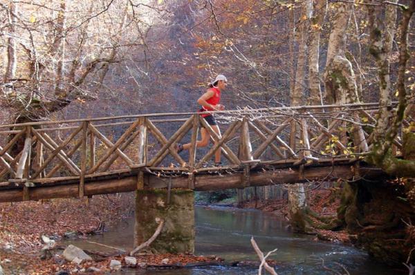 &Alpha;&nu;&alpha;&beta;&omicron;&lambda;ή 10&omicron;&sigmaf; &Eta;&mu;&iota;&mu;&alpha;&rho;&alpha;&theta;ώ&nu;&iota;&omicron;&sigmaf; &Pi;ά&iota;&kappa;&omicron;&upsilon;