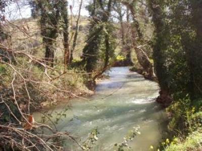 &Delta;&Epsilon;&Lambda;&Tau;&Iota;&Omicron; &Tau;&Upsilon;&Pi;&Omicron;&Upsilon; - &Pi;&rho;&omicron;&kappa;ή&rho;&upsilon;&xi;&eta; &Tau;&Rho;&Epsilon;&Chi;&Omicron;&Upsilon;&Mu;&Epsilon; &Mu;&Epsilon; &Tau;&Omicron;&Nu; &Kappa;&Omicron;&Iota;&Lambda;&Iota;&Alpha;&Rho;&Eta;