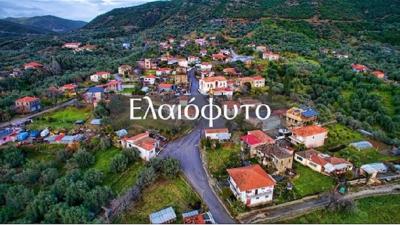 &Delta;&Epsilon;&Lambda;&Tau;&Iota;&Omicron; &Tau;&Upsilon;&Pi;&Omicron;&Upsilon; - &Pi;&rho;&omicron;&kappa;ή&rho;&upsilon;&xi;&eta; 25&omicron;&sigmaf; &Lambda;&alpha;ϊ&kappa;ό&sigmaf; &Alpha;&gamma;ώ&nu;&alpha;&sigmaf; &Delta;&rho;ό&mu;&omicron;&upsilon; &Nu;&epsilon;ά&pi;&omicron;&lambda;&eta;&sigmaf; &Alpha;&gamma;&rho;&iota;&nu;ί&omicron;&upsilon;