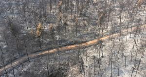 &Sigma;&tau;&iota;&sigmaf; 5 &Delta;&epsilon;&kappa;&epsilon;&mu;&beta;&rho;ί&omicron;&upsilon; &omicron; &Alpha;&gamma;ώ&nu;&alpha;&sigmaf; &Delta;&rho;ό&mu;&omicron;&upsilon; &gamma;&iota;&alpha; &tau;&eta;&nu; &epsilon;&nu;ί&sigma;&chi;&upsilon;&sigma;&eta; &pi;&upsilon;&rho;ό&pi;&lambda;&eta;&kappa;&tau;&omega;&nu; &amp; &pi;&lambda;&eta;&mu;&mu;&upsilon;&rho;&omicron;&pi;&alpha;&theta;ώ&nu; &sigma;&tau;&omicron; &Pi;&epsilon;&upsilon;&kappa;ί &Epsilon;&upsilon;&beta;&omicron;ί&alpha;&sigmaf;