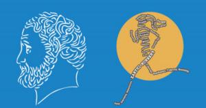 &Sigma;&tau;&iota;&sigmaf; 27 &Nu;&omicron;&epsilon;&mu;&beta;&rho;ί&omicron;&upsilon; &omicron; 8&omicron;&sigmaf; &Delta;&eta;&mu;&omicron;&kappa;&rho;ί&tau;&epsilon;&iota;&omicron;&sigmaf; &Eta;&mu;&iota;&mu;&alpha;&rho;&alpha;&theta;ώ&nu;&iota;&omicron;&sigmaf; &Delta;&rho;ό&mu;&omicron;&sigmaf; &Xi;ά&nu;&theta;&eta;&sigmaf;