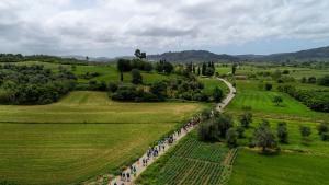 &Delta;&Epsilon;&Lambda;&Tau;&Iota;&Omicron; &Tau;&Upsilon;&Pi;&Omicron;&Upsilon; - &Alpha;&nu;&alpha;&beta;&omicron;&lambda;ή &delta;&rho;ά&sigma;&epsilon;&omega;&nu; &delta;&rho;ό&mu;&omicron;&upsilon; &Omicron;&lambda;&upsilon;&mu;&pi;&iota;&alpha;&kappa;ή&sigmaf; &Epsilon;&kappa;&epsilon;&chi;&epsilon;&iota;&rho;ί&alpha;&sigmaf; 2020 &sigma;&tau;&omicron; &Nu;&omicron;&mu;ό &Eta;&lambda;&epsilon;ί&alpha;&sigmaf;