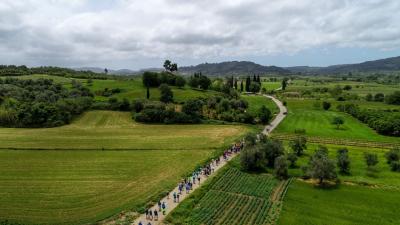 &Delta;&Epsilon;&Lambda;&Tau;&Iota;&Omicron; &Tau;&Upsilon;&Pi;&Omicron;&Upsilon; - &Alpha;&nu;&alpha;&beta;&omicron;&lambda;ή &delta;&rho;ά&sigma;&epsilon;&omega;&nu; &delta;&rho;ό&mu;&omicron;&upsilon; &Omicron;&lambda;&upsilon;&mu;&pi;&iota;&alpha;&kappa;ή&sigmaf; &Epsilon;&kappa;&epsilon;&chi;&epsilon;&iota;&rho;ί&alpha;&sigmaf; 2020 &sigma;&tau;&omicron; &Nu;&omicron;&mu;ό &Eta;&lambda;&epsilon;ί&alpha;&sigmaf;