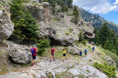 &Omicron;&rho;&epsilon;&iota;&nu;ό &tau;&rho;έ&xi;&iota;&mu;&omicron; &gamma;&iota;&alpha; &alpha;&rho;&chi;ά&rho;&iota;&omicron;&upsilon;&sigmaf; &sigma;&tau;&omicron; &epsilon;&lambda;&alpha;&tau;ό&delta;&alpha;&sigma;&omicron;&sigmaf; &tau;&eta;&sigmaf; &Pi;ά&rho;&nu;&eta;&theta;&alpha;&sigmaf;