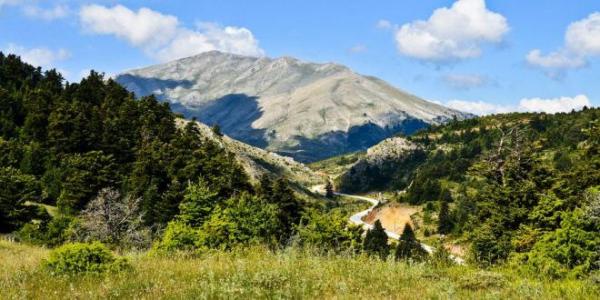 &Delta;&Epsilon;&Lambda;&Tau;&Iota;&Omicron; &Tau;&Upsilon;&Pi;&Omicron;&Upsilon; - &Delta;&eta;&lambda;ώ&sigma;&epsilon;&iota;&sigmaf; &sigma;&upsilon;&mu;&mu;&epsilon;&tau;&omicron;&chi;ή&sigmaf; &Zeta;ή&rho;&epsilon;&iota;&alpha;&sigmaf; 2018!