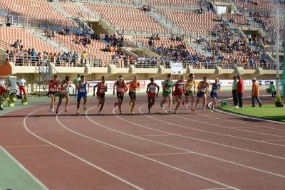 &Sigma;&epsilon; &kappa;&alpha;&lambda;ή &kappa;&alpha;&tau;ά&sigma;&tau;&alpha;&sigma;&eta; &omicron; &Delta;&eta;&mu;&eta;&tau;&rho;ά&kappa;&eta;&sigmaf;, &xi;&epsilon;&kappa;&iota;&nu;ά&epsilon;&iota; &eta; &Gamma;&epsilon;&omega;&rho;&gamma;ί&alpha; &Sigma;&tau;&epsilon;&phi;&alpha;&nu;ί&delta;&eta;